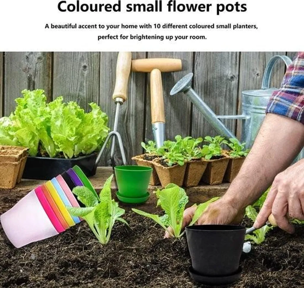Petits Pots avec Soucoupes en Plastique Durable pour Semis et Fleurs