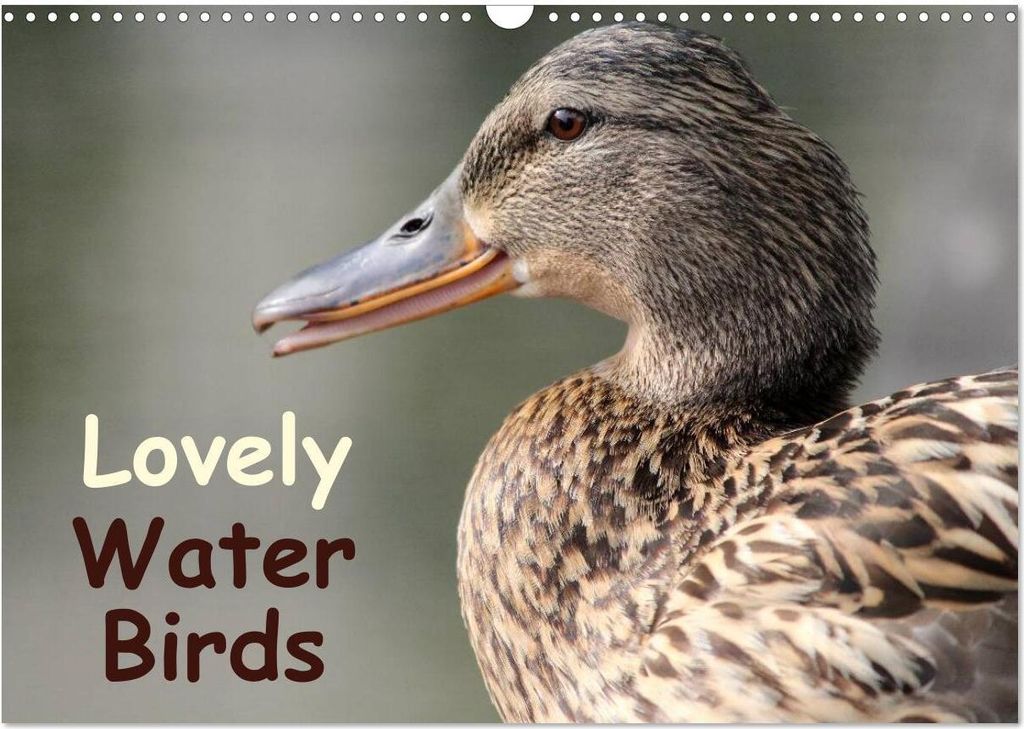 Lovely Water Birds (Wall Calendar 2026 DIN A3 landscape), CALVENDO 12 Month Wall Calendar