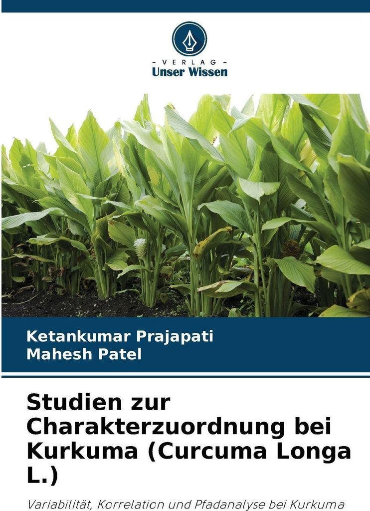 Studien zur Charakterzuordnung bei Kurkuma (Curcuma Longa L.)