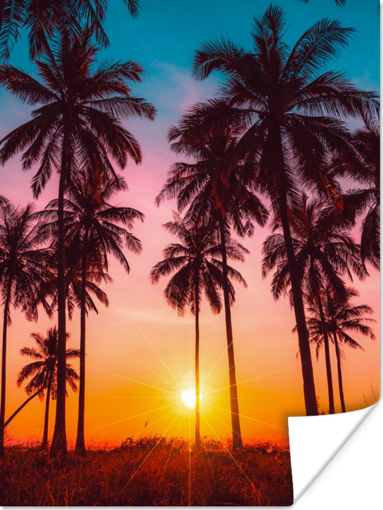 MuchoWow Poster Palme - Sonnenuntergang - Horizont - Strand - Orange - Rosa 60x80 cm - Schlafzimmer Dekoration