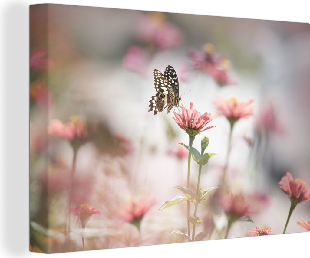 OneMillionCanvasses - Leinwandbilder - 140x90 cm, Schmetterling - Blumen - Tiere, Wandbilder Kunstdruck Wanddekoration