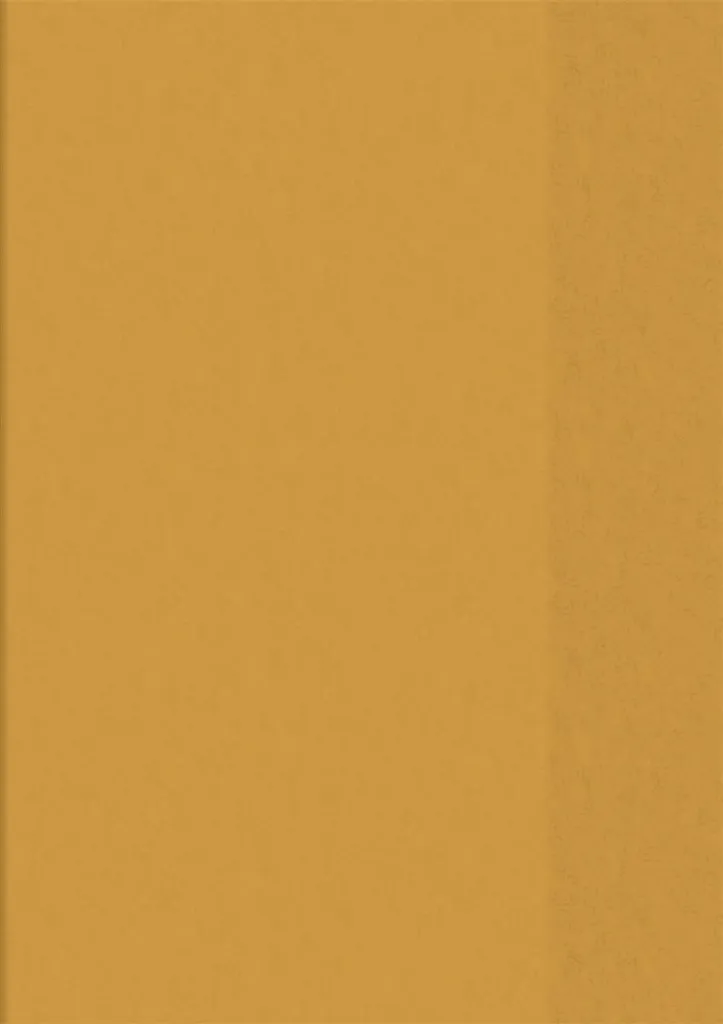 Lot de 25 couvre-cahiers A5 orange translucide pour école et bureau