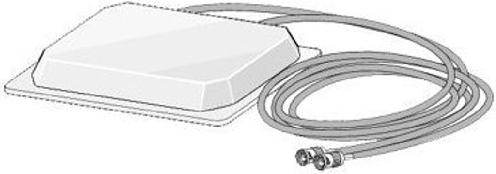 Antenna/ceiling mount-dual band 5DB/5GHZ