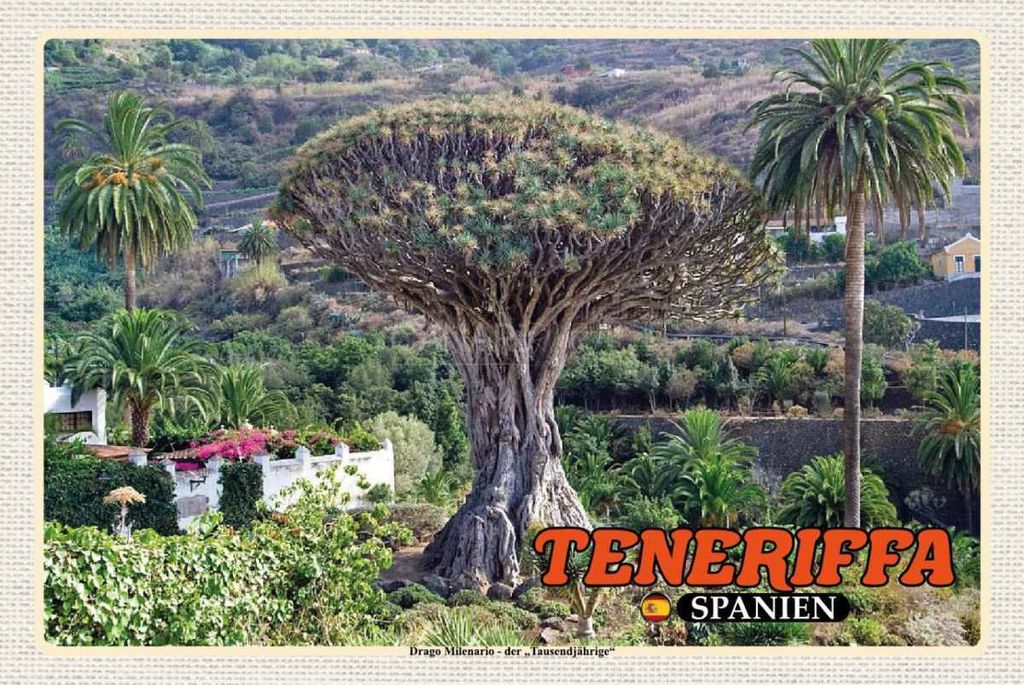 vianmo Holzschild 20x30 cm Teneriffa Drago Milenario-Tausendjährige Bildmotiv Reisemotiv Europa
