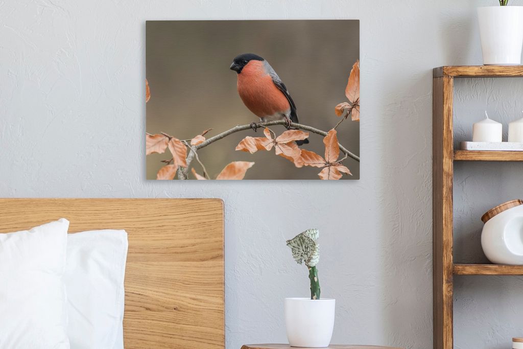 MuchoWow - Leinwandbilder - Vogel - Laub - Herbst - Gimpel -, Wandbild, Wanddeko Bilder Wohnzimmer, 40x30 cm