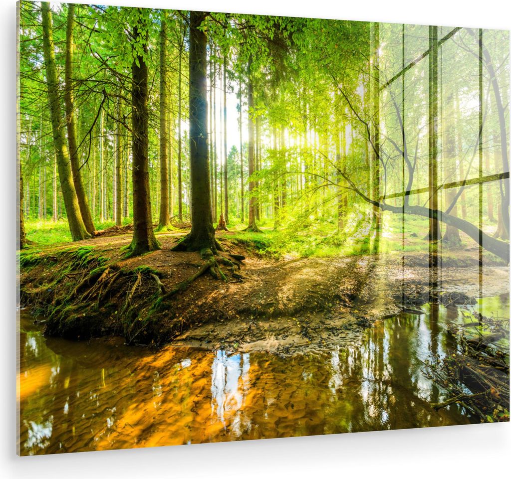MuchoWow Glasbilder - Bilder auf Wandbild - Foto auf Glas Wald - Landschaft - Wasser - Bäume - Sonne - Grün - Natur 80x60 cm Wanddekoration aus G...