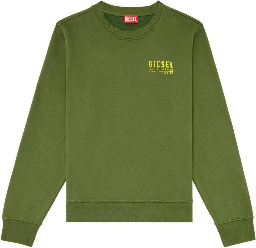 Diesel Ginn K42 Sweatshirt Grün M Herren Grün M