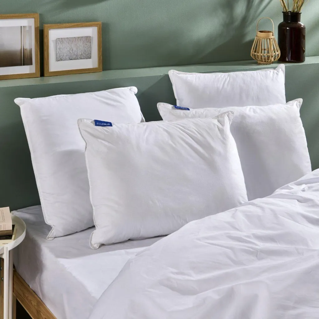 Oreiller Rectangulaire 50x70 cm Ferme et Moelleux pour un Sommeil Réparateur