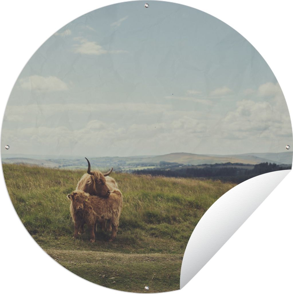 MuchoWow Gartenposter Outdoor-Poster Rund Schottische Highlander - Gras - Wolken - Tiere Ø 120 cm Gartendeko Rundes Poster draußen