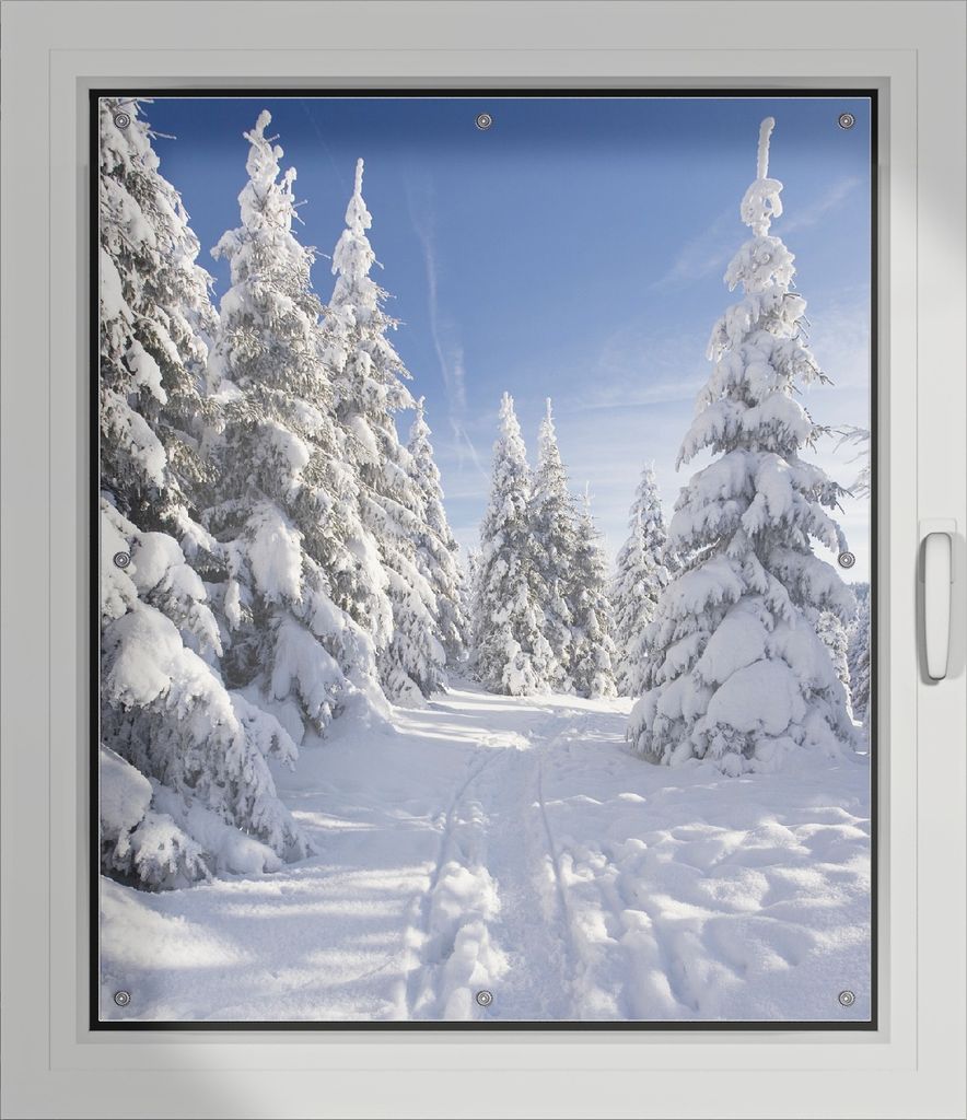 Wallario Lichtschutzbild, Dekorativer Sichtschutz Sonnenschutz 96 x 115 cm mit Motiv: Wanderweg im Schnee - Verdunklung ohne Bohren
