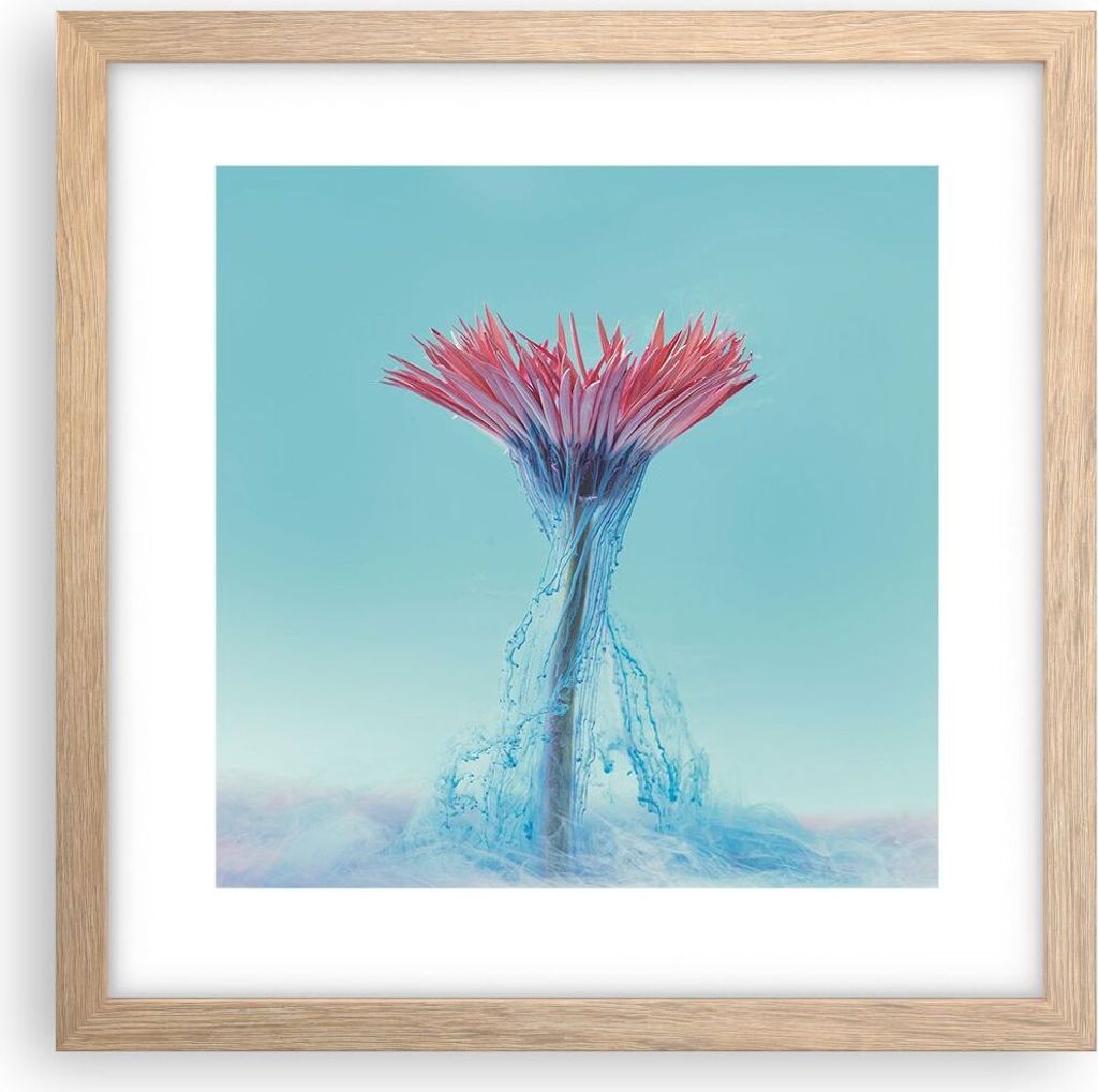 Gerahmtes Poster - Rahmen in heller Eiche - Rosa Gänseblümchen Tinte - 30x30 cm - Wand Bild - Wanddeko - Wandbilder - Kunstposter - Wandposter - ...