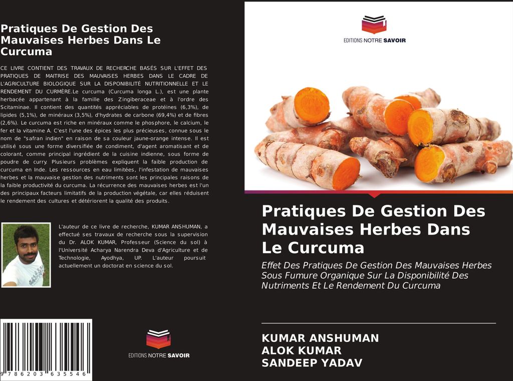 Pratiques De Gestion Des Mauvaises Herbes Dans Le Curcuma