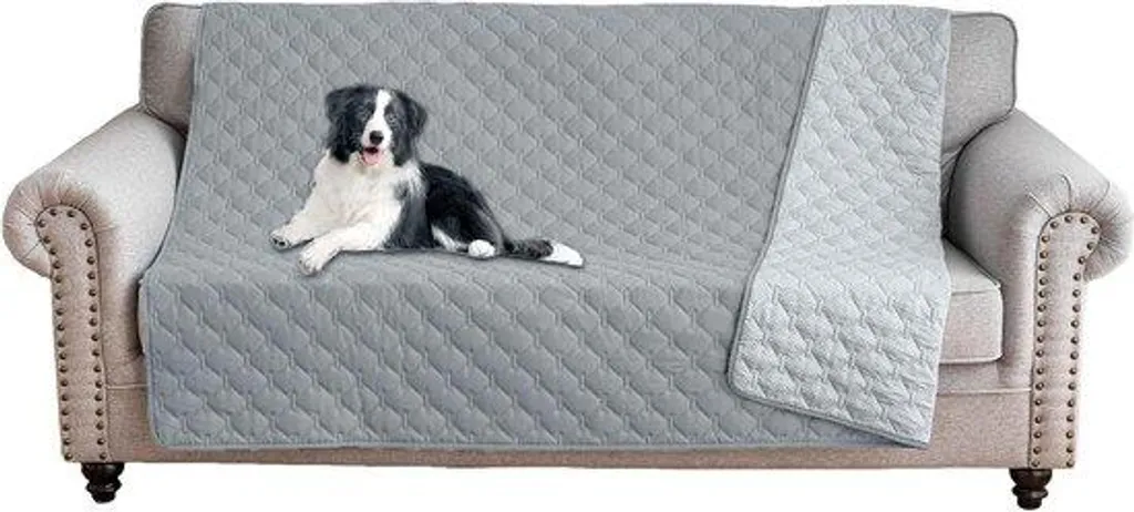 Couverture imperméable chien : finis les poils et taches sur le canapé