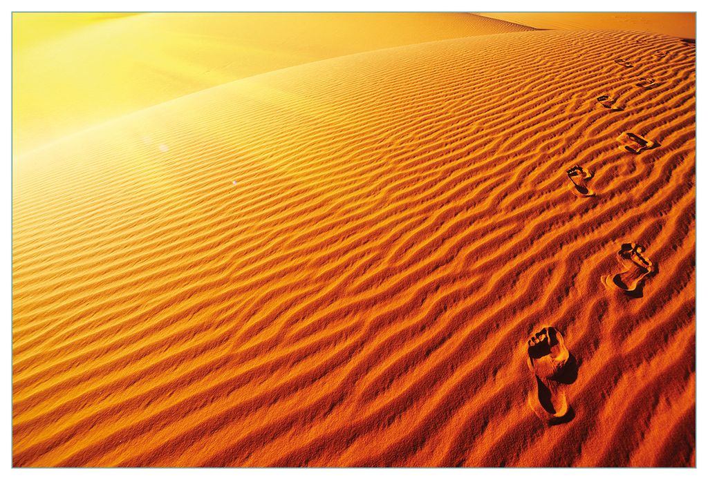 Wallario Küchenrückwand aus Glas, Größe: 90 x 60 cm, Motiv: Fußspuren im Sand - Sanddüne in der Wüste | Spritzschutz | abwischbar | pflegele...