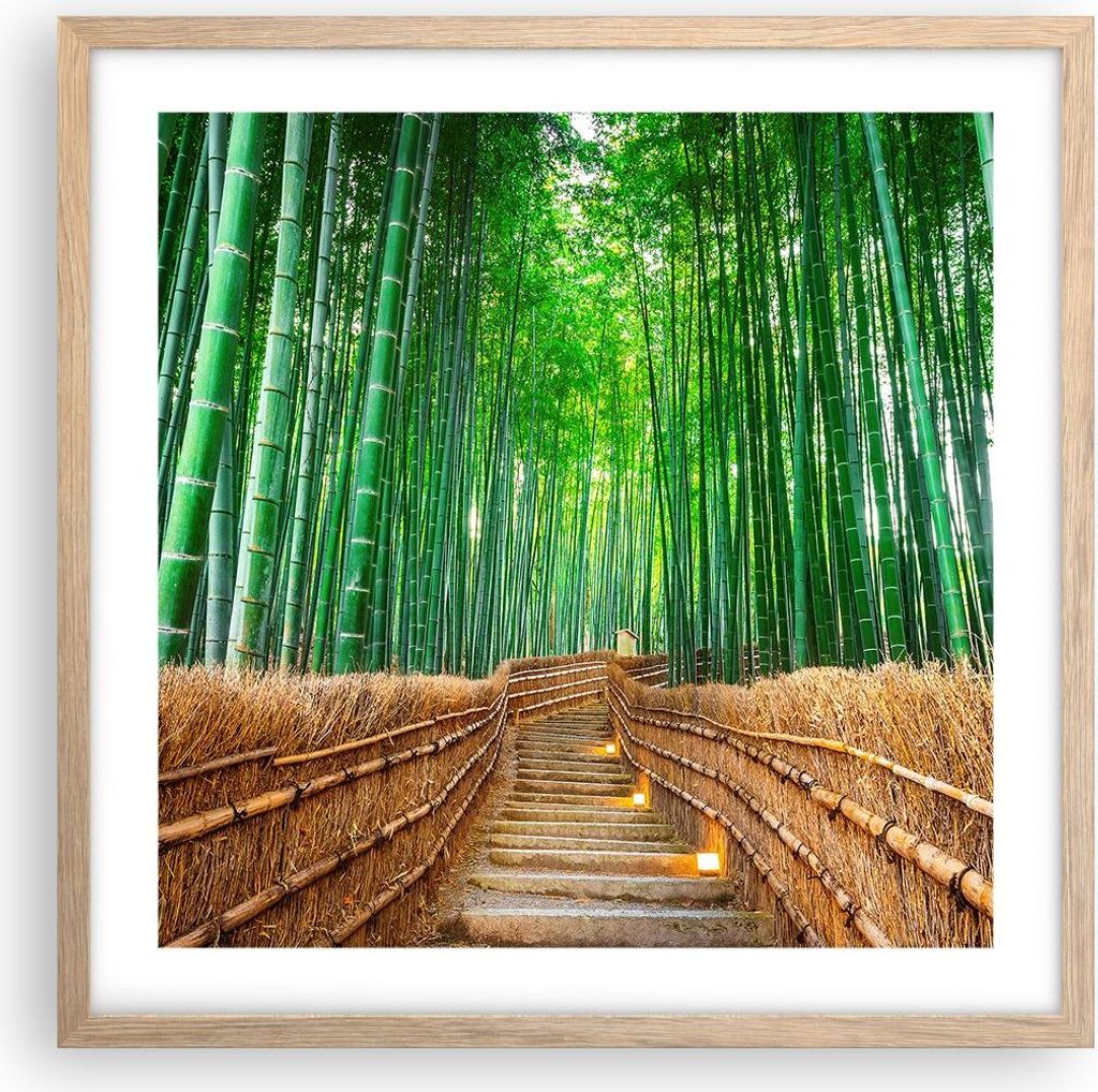 Gerahmtes Poster - Rahmen in heller Eiche - Bambus Pflanze - 50x50 cm - Wand Bild - Wanddeko - Wandbilder - Kunstposter - Wandposter - Bilderrahmen...