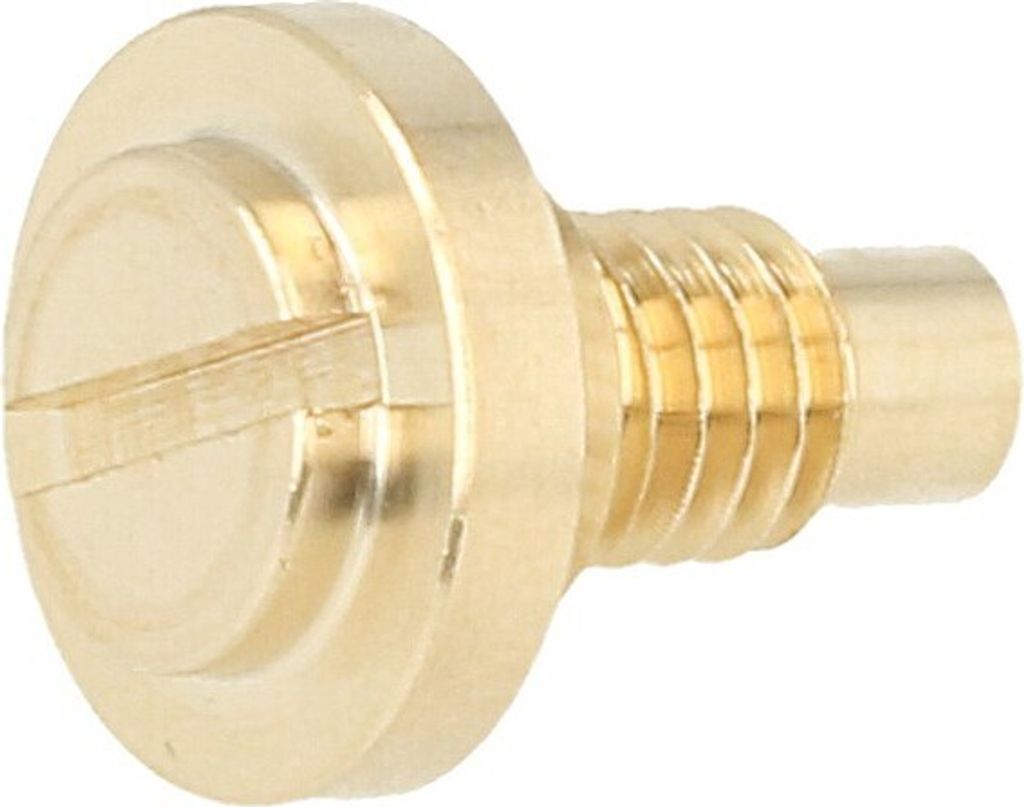 A close-up studio shot of a brass screw.