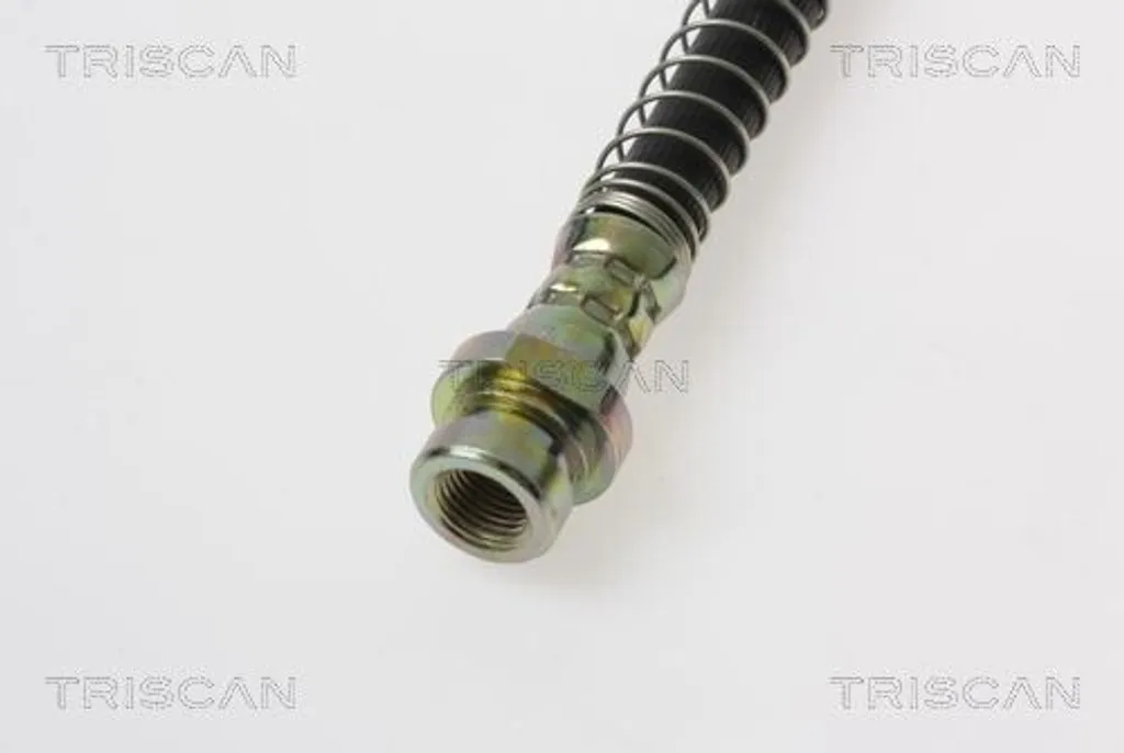Flexible de frein TRISCAN F10x1 avec raccord banjo pour KIA CARENS 1