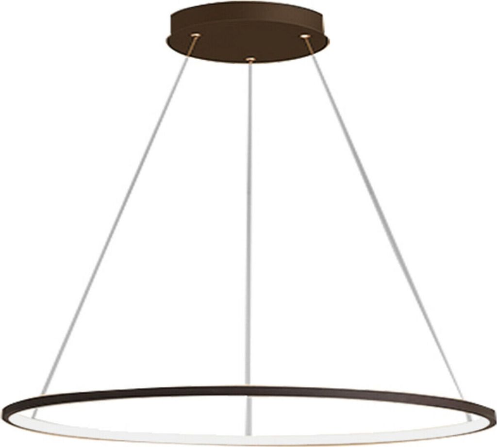 A modern ring-shaped pendant light fixture.