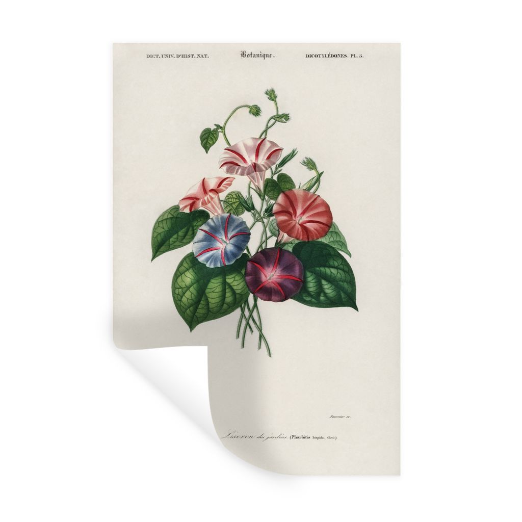 MuchoWow Wandtattoo Wandsticker Wandaufkleber Blumen - Vintage - Blatt 60x90 cm Selbstklebend und Repositionierbar - Sticker - Dekorfolie