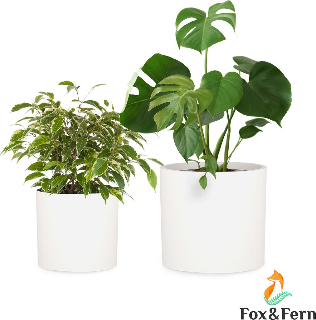 Fox & Fern Pot de Fleur Interieur et Extérieur, Jardinieres Image du produit 