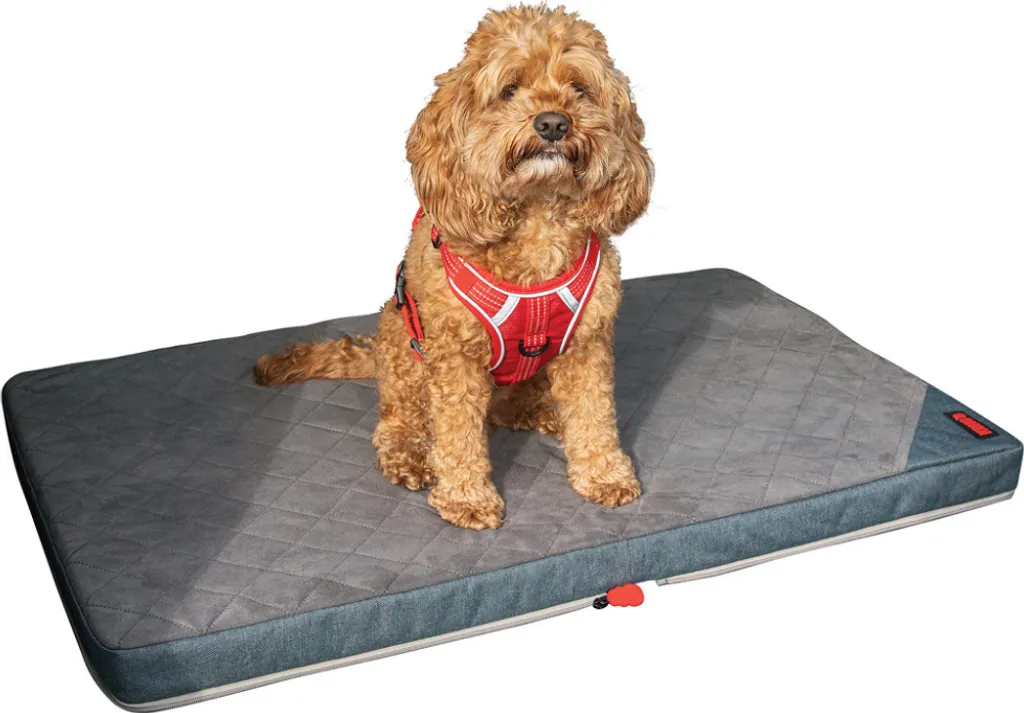 KONG Tappetino Viaggio per Cani: Riduci lo Stress del Tuo Pet