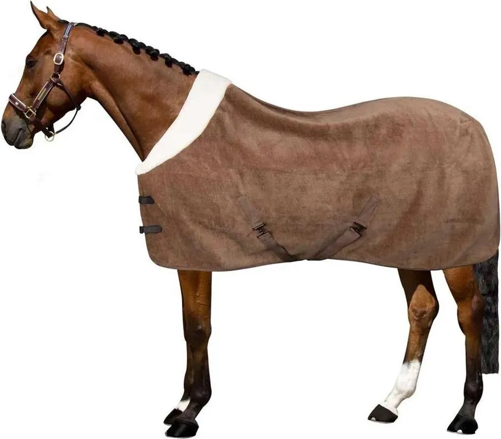 Chemise Séchante Polaire Marron pour Cheval 165cm Imperial Riding Gaxy