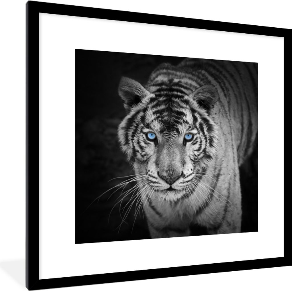 MuchoWow Gerahmtes Poster Tiere - Tiger - Schwarz und weiß - Augen - Blau 40x40 cm - Poster mit Schwarzem Bilderrahmen Wandposter Rahmen Foto Bi...