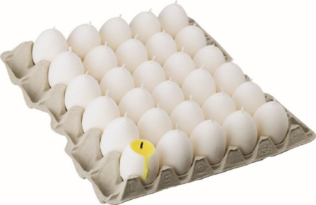 30 Eikerzen Dotterei auf Brett 6 x 4,5 cm