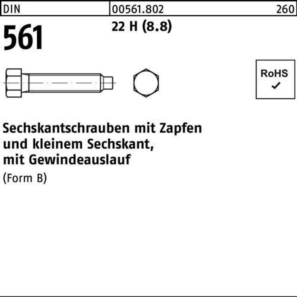 Reyher Sechskantschrauben DIN 561 22H / 8.8 BM 24 x 50 (10 Stück)