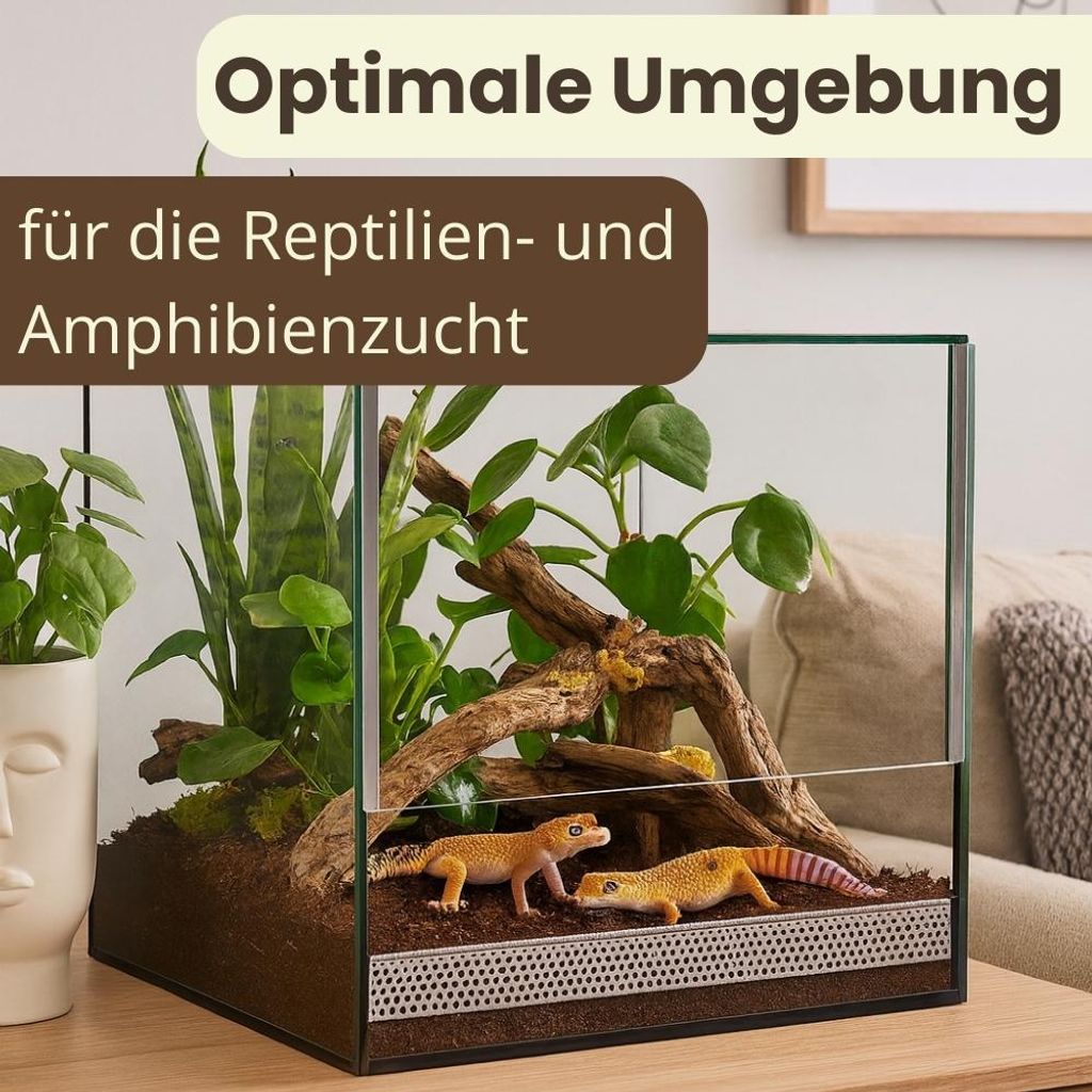 Terrarium 30x30x30 cm Schnecken Spinnen Amphibien Glas Produktbild 