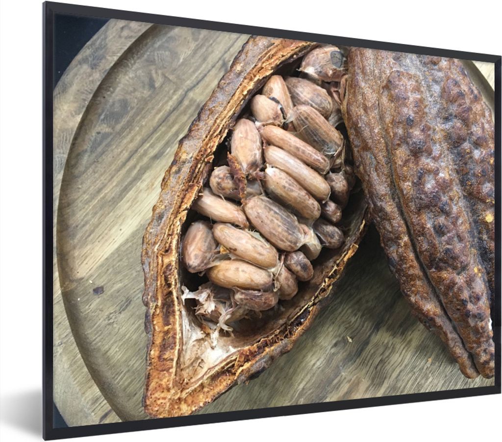 MuchoWow Gerahmtes Poster Kakaobohnen in einer Schote auf einem rustikalen Holzbrett 80x60 cm - Poster mit Schwarzem Bilderrahmen Wandposter Rahm...