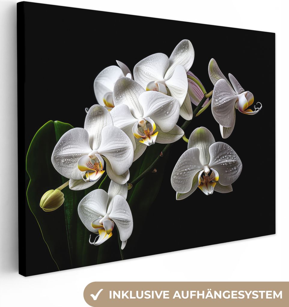 MuchoWow - Leinwandbilder - Orchidee - Blumen - Weiß - Natur - Schwarz, Wandbild, Wanddeko Bilder Wohnzimmer, 40x30 cm