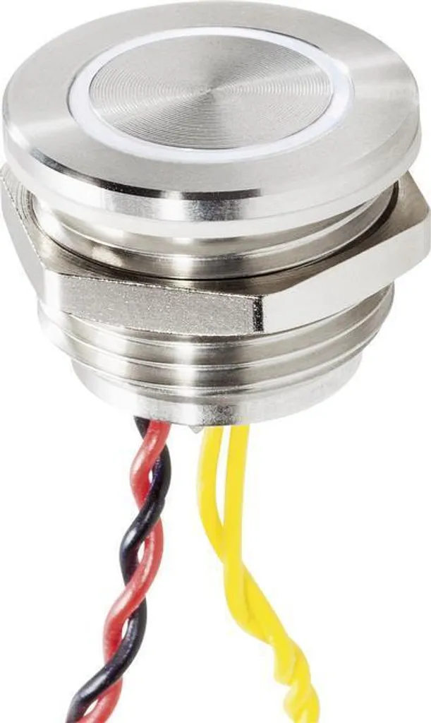 Campanello Indistruttibile Renkforce RF-4707816 Acciaio Inox 24V
