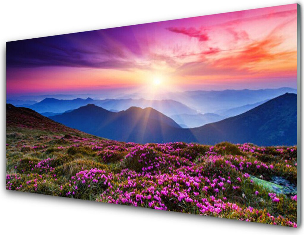 Acrylglasbilder 100x50 Wandbild Druck Gebirge Wiese Sonne Landschaft