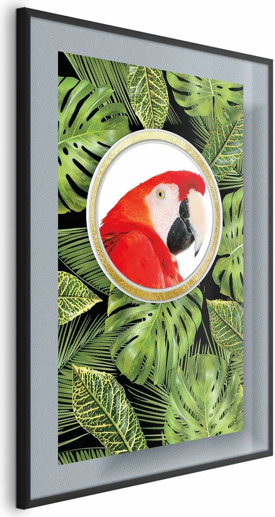 Poster pappagallo della giungla 60x90 cm con cornice nera senza bordo
