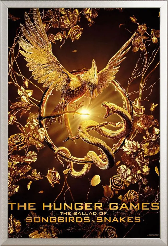 Affiche Hunger Games avec cadre Shinsuke pour éviter de l'abîmer