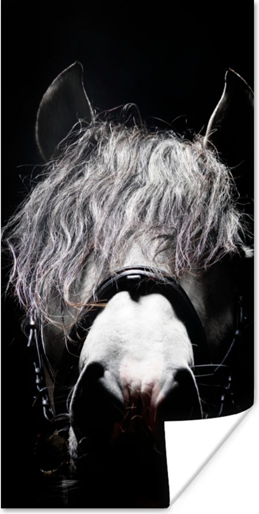 MuchoWow Poster Pferd - Porträt - Schwarz - Weiß 60x120 cm - Wandschmuck