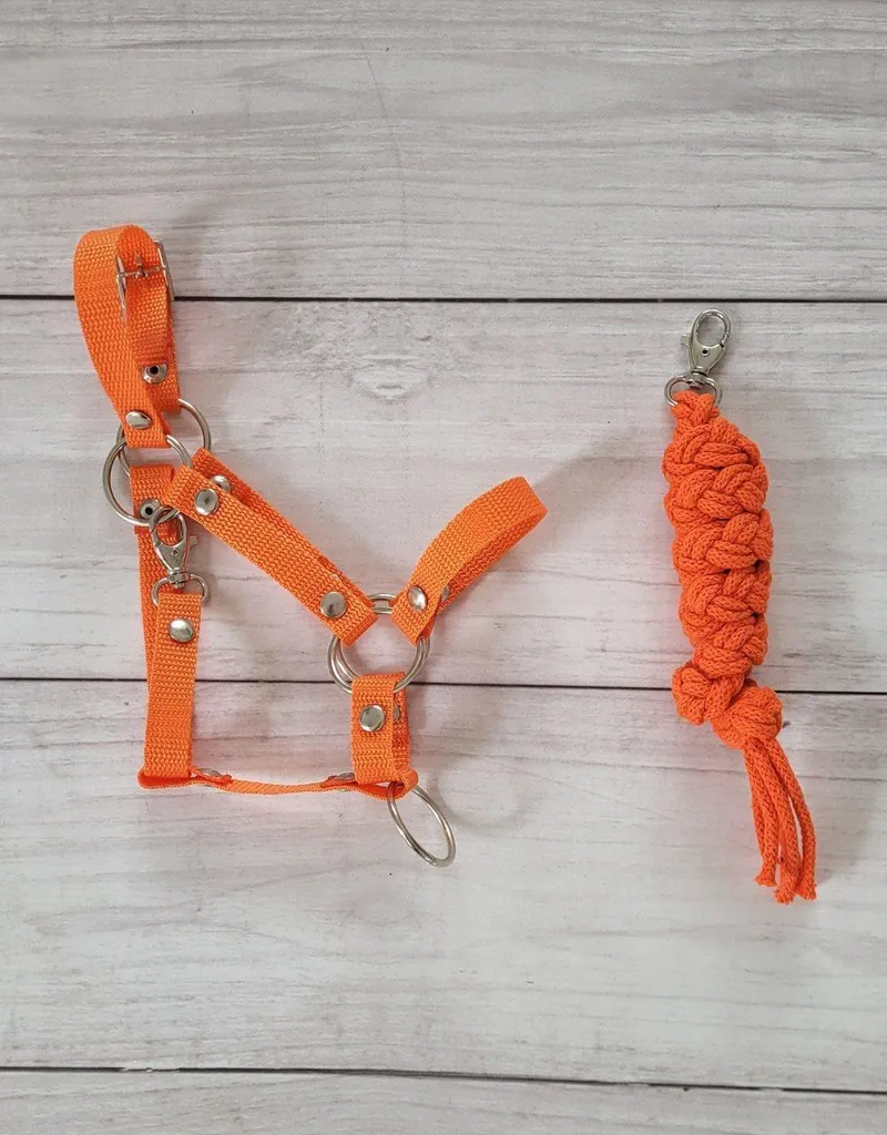 Set Gioco Hobby Horse: Cavezza e Corda per Cavallini | Lavabile e Sicura - 3