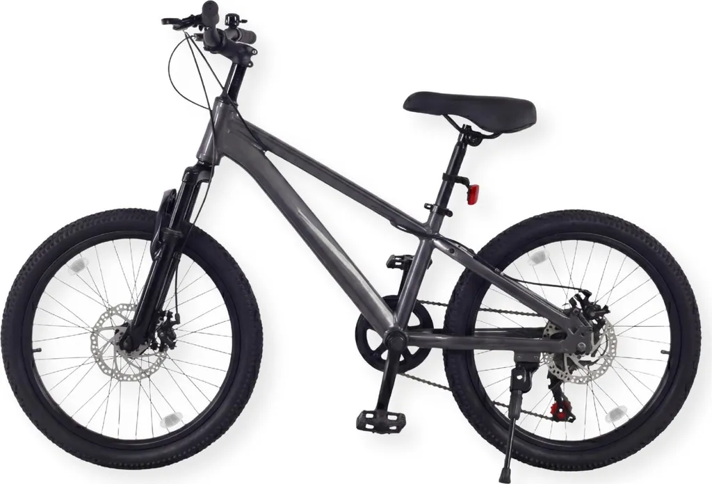 Vélo Tout Terrain Enfant 20 Pouces Buxibo Laguna en Aluminium Gris