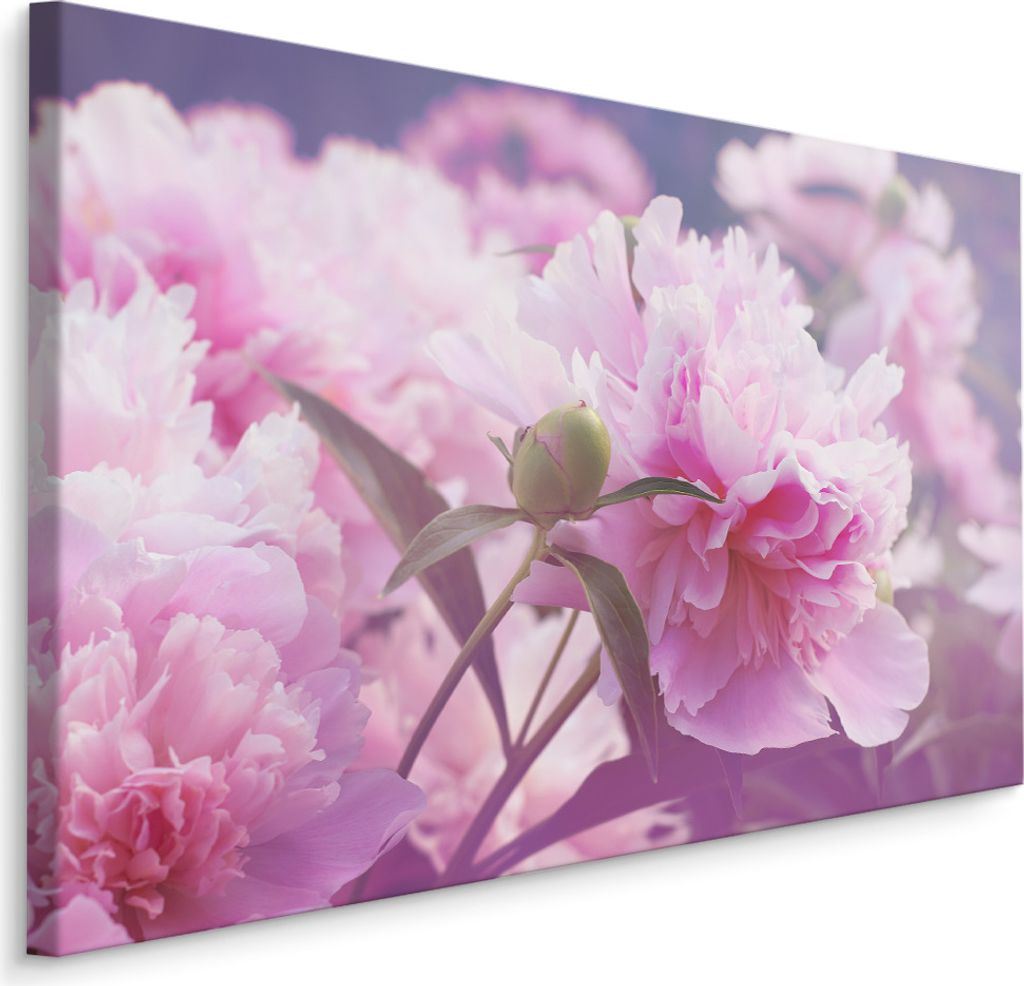 Fabelhafte Canvas LEINWAND BILDER 30x20 cm XXL Kunstdruck Pfingstrosen Blumen Natur