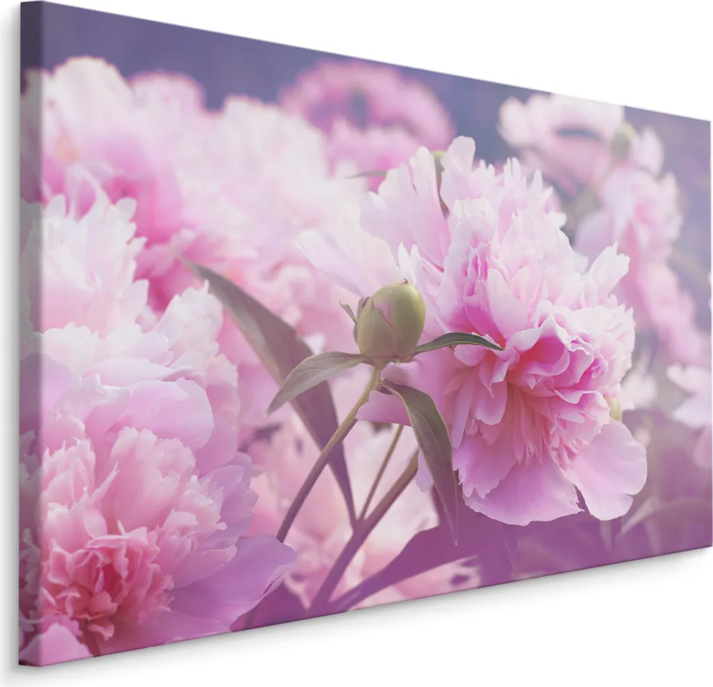 Quadro Peonie Rosa 70x50 XXL - Tela Artistica Natura per Camera