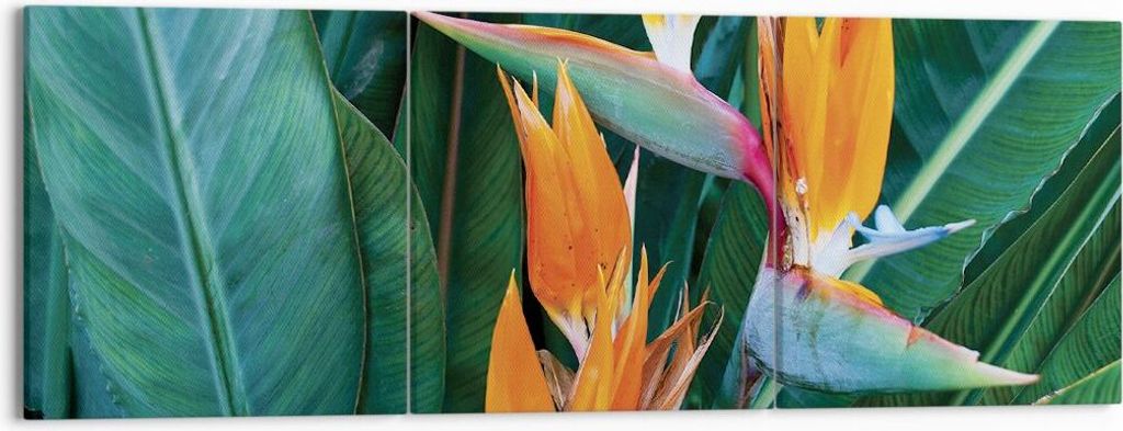 Bild auf Leinwand - Leinwandbild - 3 Teile - Himmlisch Vogel Blume - 150x50cm - Wand Bild - Wanddeko - Wandbilder - Leinwanddruck - Bilder - Wandde...