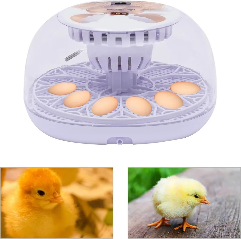 Incubatrice 12 Uova High-Tech: Controllo Temperatura e Risparmio 35W - 2