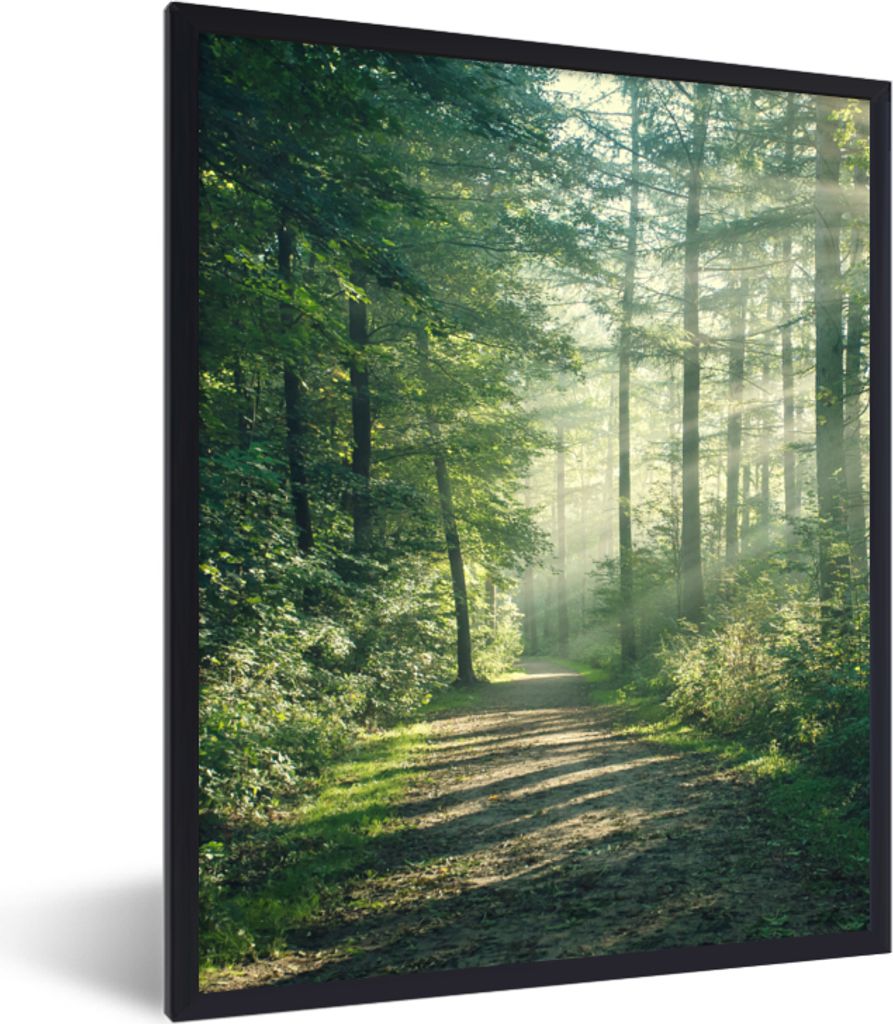 MuchoWow Gerahmtes Poster Wald - Weg - Sonne - Bäume - Grün - Natur 30x40 cm - Poster mit Schwarzem Bilderrahmen Wandposter Rahmen Foto Bilder ...