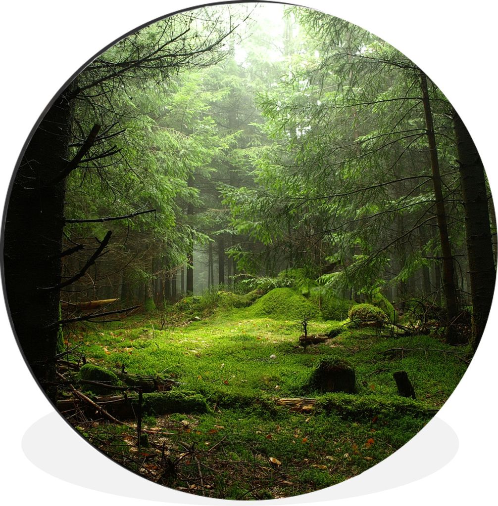 MuchoWow Aluminium Wandkreis Frankreich - Wald - Moos Ø 30 cm Wanddeko Modern Wohnzimmer - Wand Bild - Wohnzimmer - Runde Bilder - Alubilder - K...