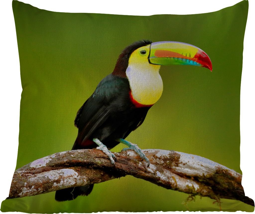 MuchoWow® Outdoor Kissen - Vogel - Tukan - Regenbogen - Produktbild 