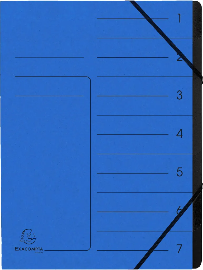 Trieur de Documents A4 en Carte Lustrée Noire - Lot de 10 Chemises