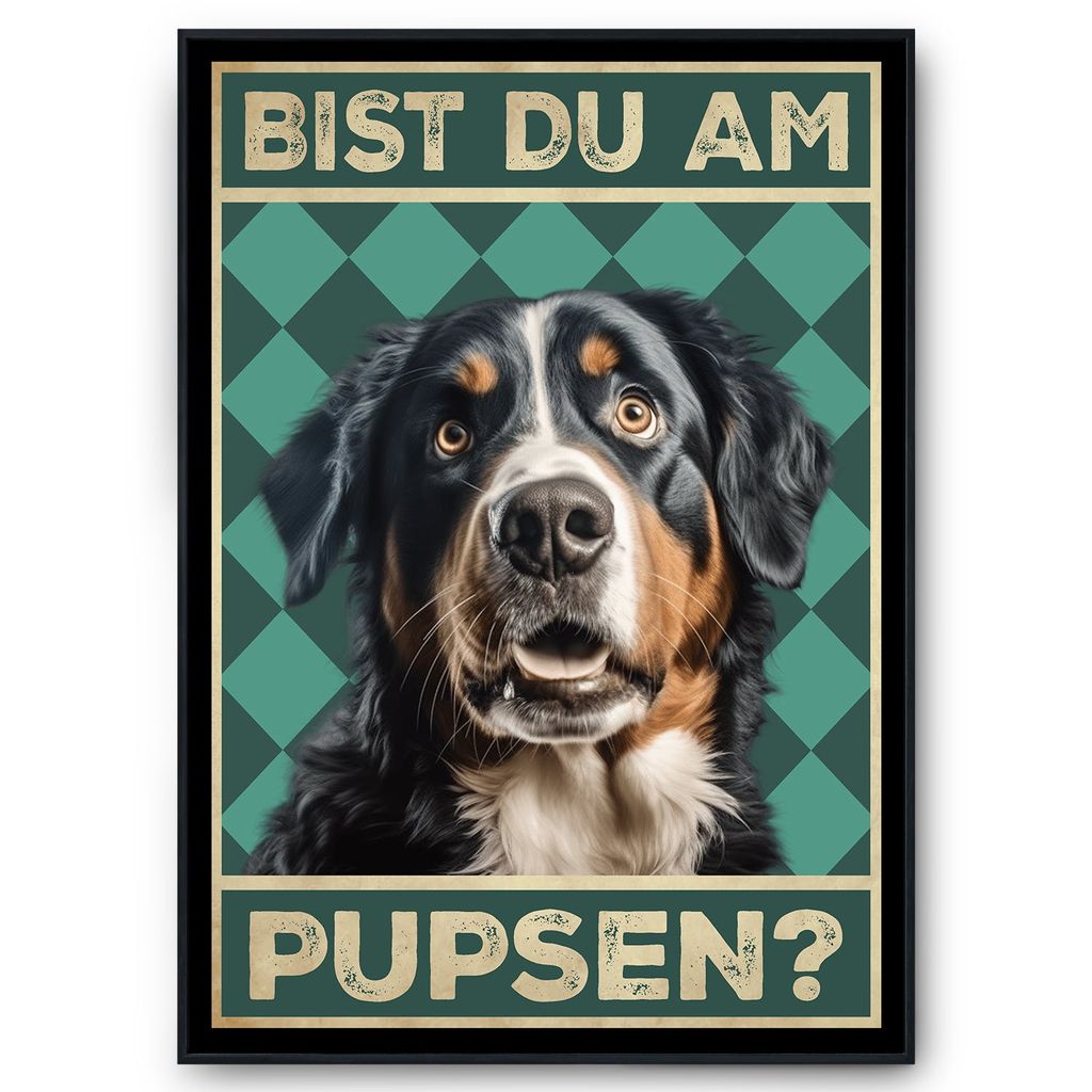 Berner Sennenhund - Bist du am Pupsen? Hunde Poster Badezimmer Gästebad Wandbild Klo Toilette Dekoration Lustiges Gäste-WC Bild DIN A4 – DIN A4...