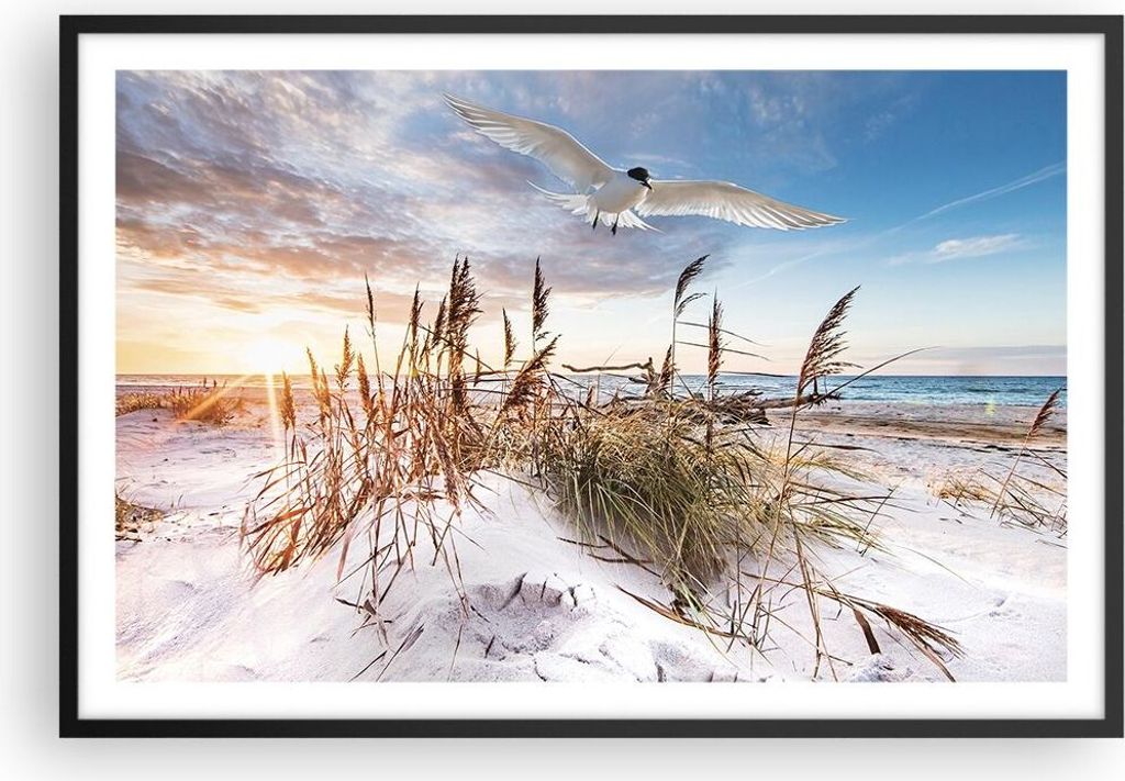 Gerahmtes Poster - Schwarzer Rahmen - Möwe Meer Küste - 91,5x61 cm - Wand Bild - Wanddeko - Wandbilder - Kunstposter - Wandposter - Bilderrahmen ...