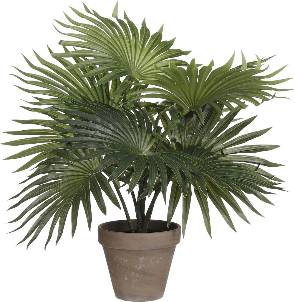 Mica Decorations Palm Kunstplant in Bloempot Stan - H40 x Productafbeelding 